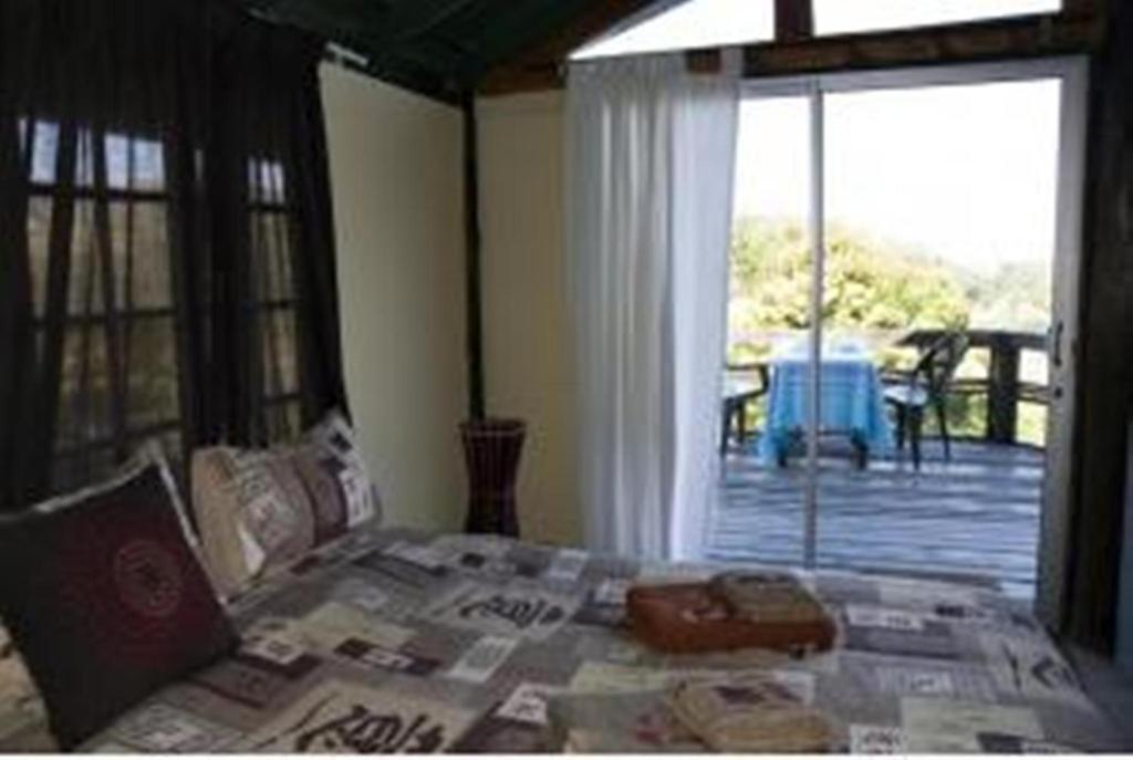 Amapondo Backpacker Lodge Port Saint Johnʼs Rum bild